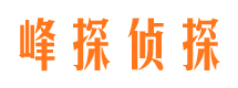 保靖市调查公司